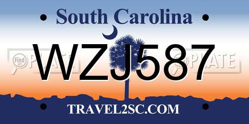 WZJ587 South Carolina License Plate