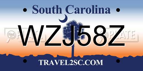 WZJ58Z South Carolina License Plate