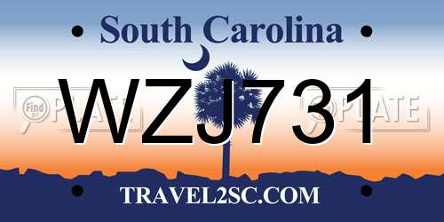 WZJ731 South Carolina License Plate
