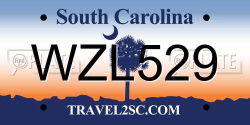 WZL529 South Carolina License Plate
