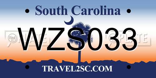 WZS033 South Carolina License Plate