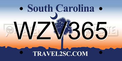 WZV365 South Carolina License Plate