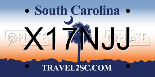 X17NJJ South Carolina License Plate