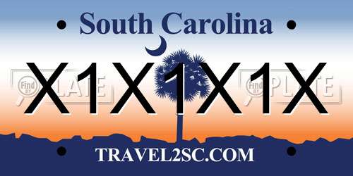 X1X1X1X South Carolina License Plate