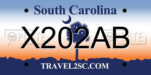 X202AB South Carolina License Plate