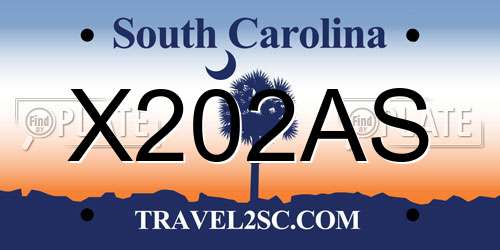 X202AS South Carolina License Plate
