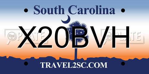 X20BVH South Carolina License Plate
