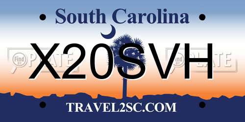 X20SVH South Carolina License Plate