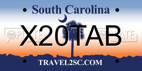 X20TAB South Carolina License Plate