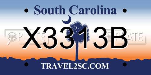X3313B South Carolina License Plate