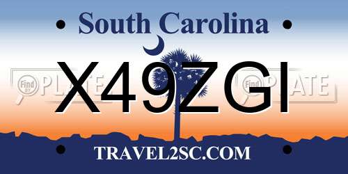 X49ZGI South Carolina License Plate