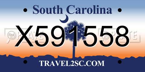 X591558 South Carolina License Plate
