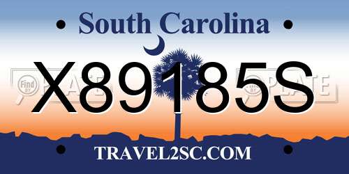 X89185S South Carolina License Plate