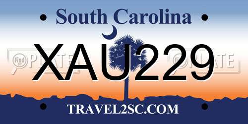XAU229 South Carolina License Plate
