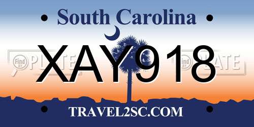 XAY918 South Carolina License Plate