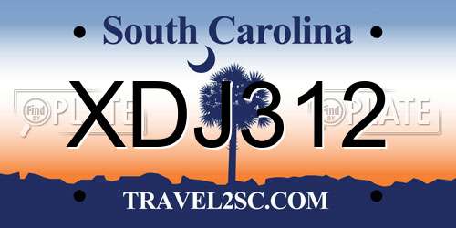 XDJ312 South Carolina License Plate