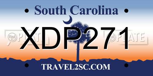 XDP271 South Carolina License Plate