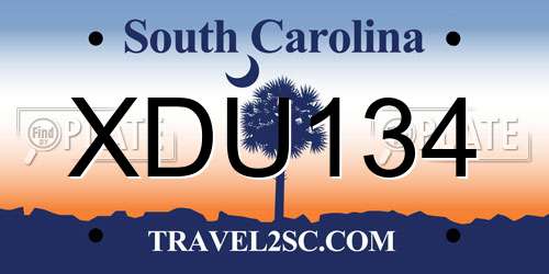 XDU134 South Carolina License Plate