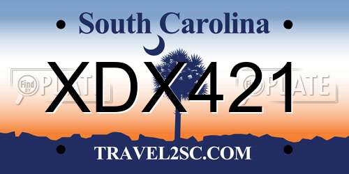 XDX421 South Carolina License Plate