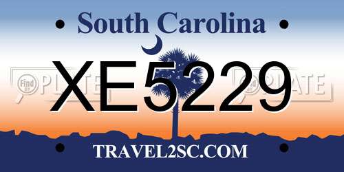 XE5229 South Carolina License Plate