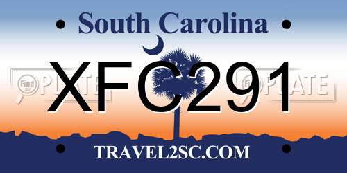 XFC291 South Carolina License Plate