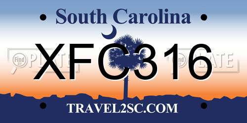 XFC316 South Carolina License Plate