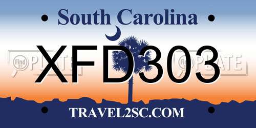 XFD303 South Carolina License Plate