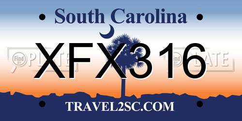 XFX316 South Carolina License Plate