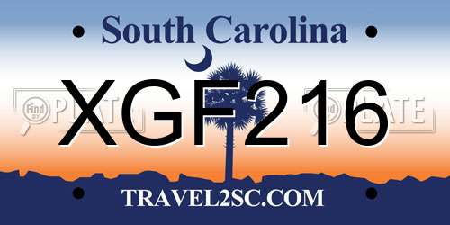 XGF216 South Carolina License Plate