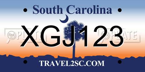 XGJ123 South Carolina License Plate