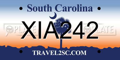 XIA242 South Carolina License Plate