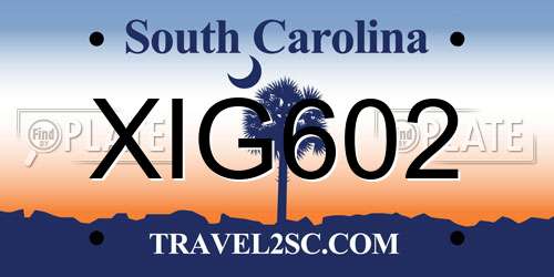 XIG602 South Carolina License Plate