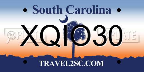XQIO30 South Carolina License Plate