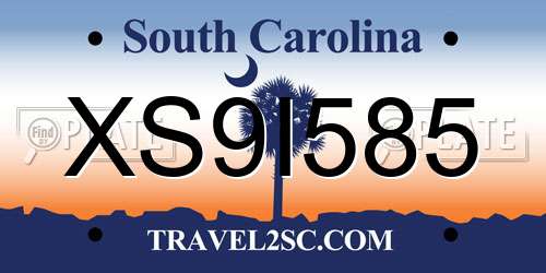 XS9I585 South Carolina License Plate