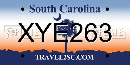 XYE263 South Carolina License Plate