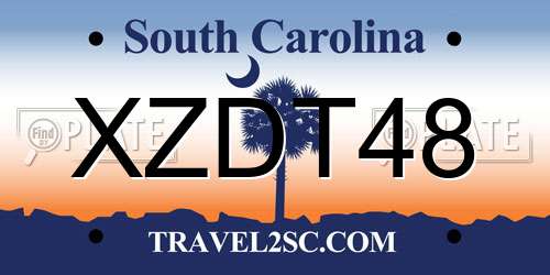 XZDT48 South Carolina License Plate
