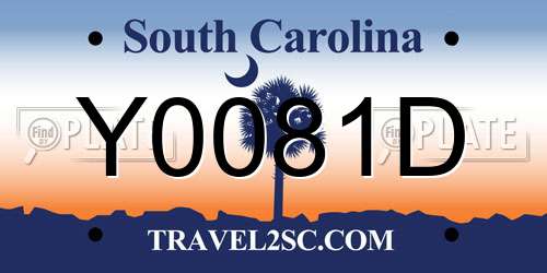 Y0081D South Carolina License Plate