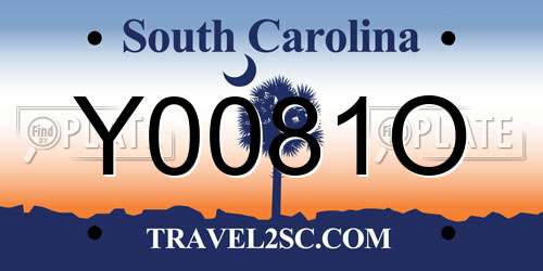 Y0081O South Carolina License Plate