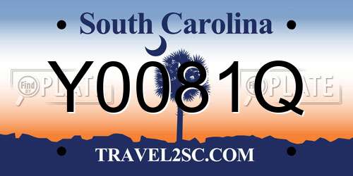 Y0081Q South Carolina License Plate