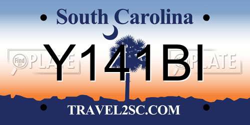 Y141BI South Carolina License Plate