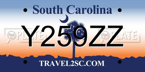 Y259ZZ South Carolina License Plate