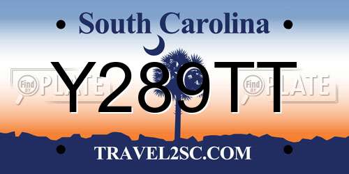 Y289TT South Carolina License Plate