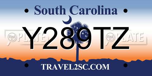 Y289TZ South Carolina License Plate
