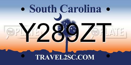 Y289ZT South Carolina License Plate