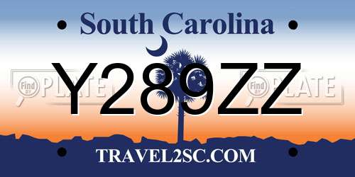 Y289ZZ South Carolina License Plate