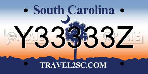 Y33333Z South Carolina License Plate