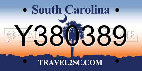 Y380389 South Carolina License Plate