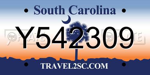 Y542309 South Carolina License Plate