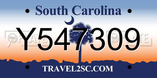 Y547309 South Carolina License Plate
