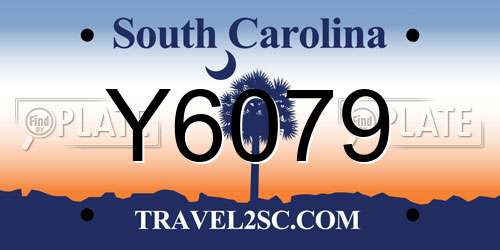 Y6079 South Carolina License Plate